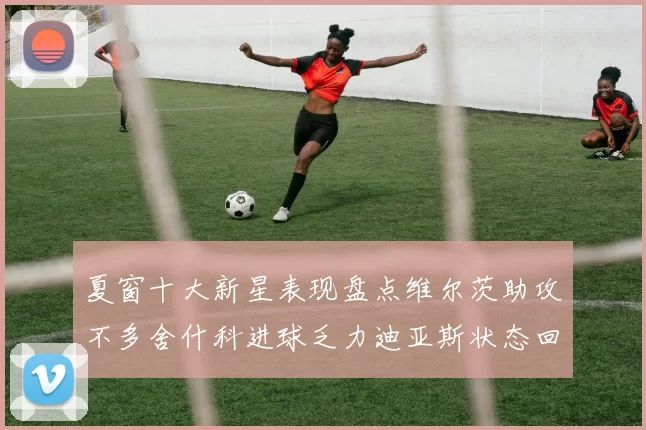 夏窗十大新星表现盘点维尔茨助攻不多舍什科进球乏力迪亚斯状态回暖