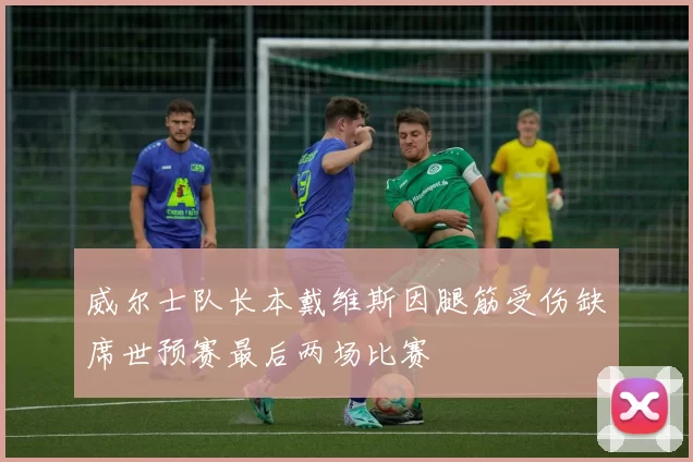 威尔士队长本戴维斯因腿筋受伤缺席世预赛最后两场比赛