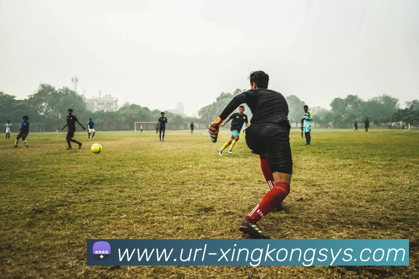 星空体育平台生态图