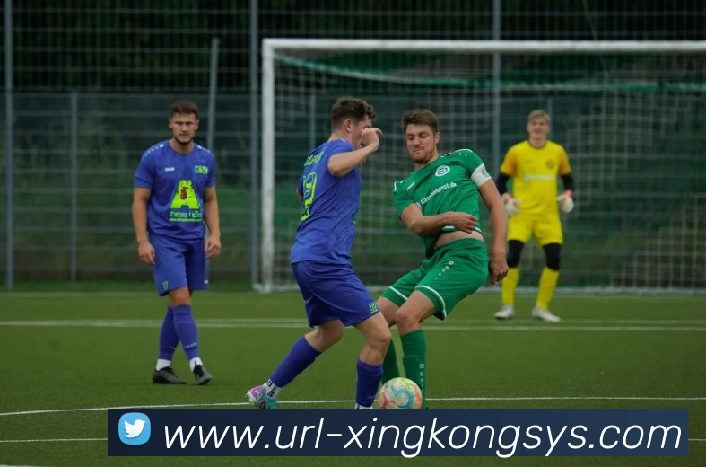 星空体育APP 封面图